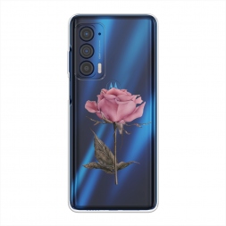 ����������� ����� ������������� ���� �� Motorola Edge (2021)