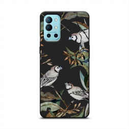 ������� ����������� ����� ����� � ������ �� OnePlus 9R