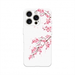  �������� ������ �� iPhone 16 Pro
