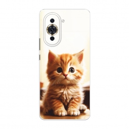 ����������� ����� ��������� ������ �� Huawei Nova 10 Pro