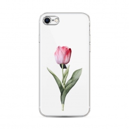 ����������� ����� ������� ������� ���� �� iPhone SE 2022