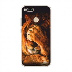 ����������� ����� ������� ���� �� Xiaomi Mi 5X