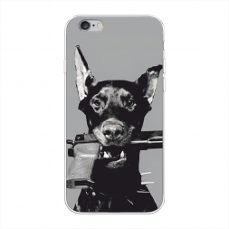 ����������� ����� �������� �� iPhone 6