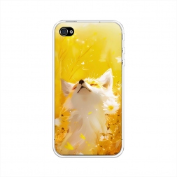 ����������� ����� ���� � ���� �� iPhone 4/4S