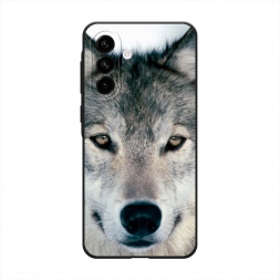 ������� ����������� ����� ���� �� Samsung Galaxy A56 5G