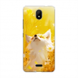 ����������� ����� ���� � ���� �� Nokia C100