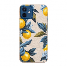  ������ ������ ��� �� iPhone 12