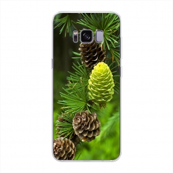 ����������� ����� ��� 13 �� Samsung Galaxy S8 Plus