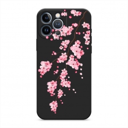 ������� ����������� ����� ������� ������ �� iPhone 13 Pro Max