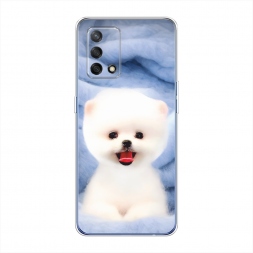 ����������� ����� ����� ���� �� Oppo A74
