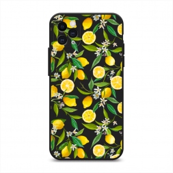 ������� ����������� ����� ������ ������ �� iPhone 11 Pro Max