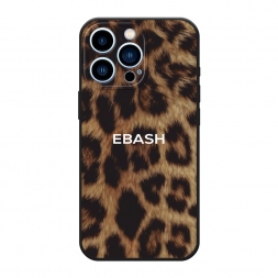 ������� ����������� ����� Ebash �� �������� �� iPhone 13 Pro
