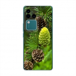 ����������� ����� ��� 13 �� Vivo V30 Pro