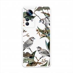  ����� � ������ �� Xiaomi 12T Pro