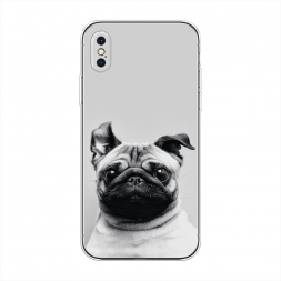 ����������� ����� ������� ���� �� iPhone XS Max (10S Max)