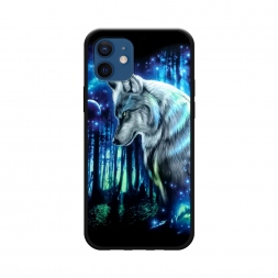 ������� ����������� ����� ��������� ���� �� iPhone 12