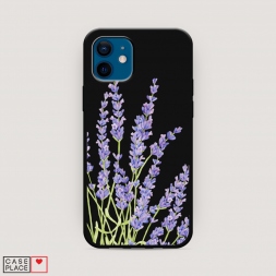 ������� ����������� ����� ���������� ������ �� iPhone 12