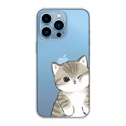 ����������� ����� ������ ����� �� iPhone 13 Pro