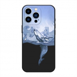 ������� ����������� ����� ��� ��������� �� iPhone 13 Pro