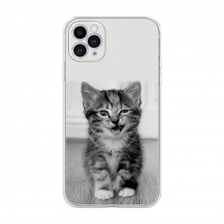 ����������� ����� ������������� ������� �� iPhone 11 Pro