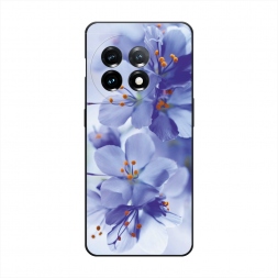������� ����������� ����� ���������� ������ �� OnePlus 11