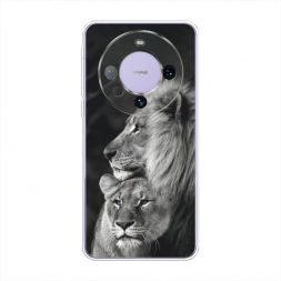 ����������� ����� ������� ���� �� Huawei Mate 60 Pro