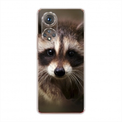 ����������� ����� ���� �� Honor 50