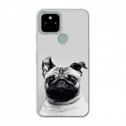 ����������� ����� ������� ���� �� Google Pixel 5