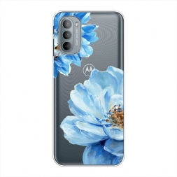 ����������� ����� ������� ��������� �� Motorola Moto G31