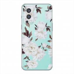 ����������� ����� ��������� ��������� 2 �� OnePlus Nord 2