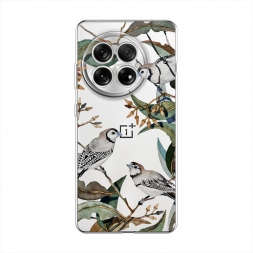 ����������� ����� ����� � ������ �� OnePlus 13
