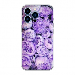 ����������� ����� ����� ��������� �� iPhone 13 Pro