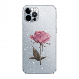  ������������� ���� �� iPhone 12 Pro