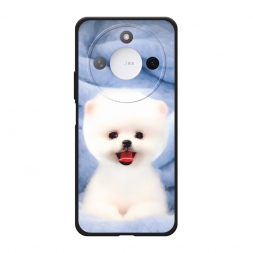 ������� ����������� ����� ����� ���� �� Honor X9C Smart