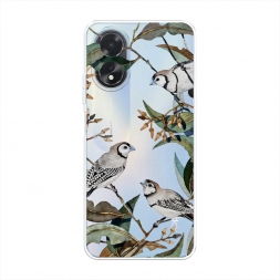 ����������� ����� ����� � ������ �� Oppo A18