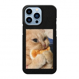 ������� ������ ����� ������ �� iPhone 13 Pro