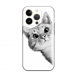 ������� ����������� ����� ��� ������� �����-����� �� iPhone 14 Pro