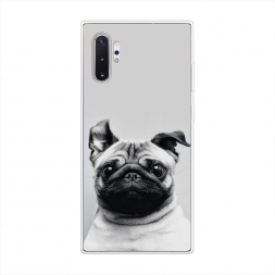 ����������� ����� ������� ���� �� Samsung Galaxy Note 10 Plus