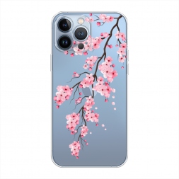 ����������� ����� ������� ������ �� iPhone 13 Pro Max