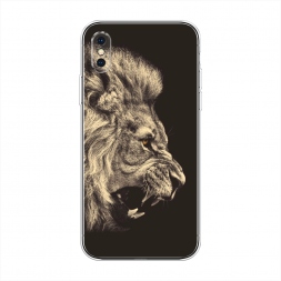 ����������� ����� ������� ��� 2 �� iPhone XS Max (10S Max)
