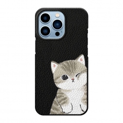 ������� ������ ������ ����� �� iPhone 13 Pro