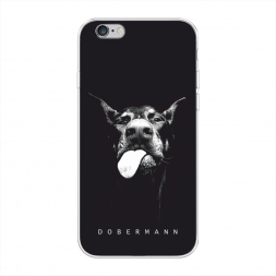 ����������� ����� ���� ��������� �� iPhone 6
