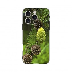 ������� ����������� ����� ��� 13 �� iPhone 16 Pro