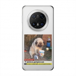 ����������� ����� ���� � ��������� �� Huawei Mate 70 Pro