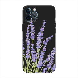 ������� ����������� ����� ���������� ������ �� iPhone 12 Pro Max