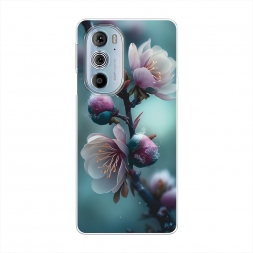 ����������� ����� �������� ������� �� Motorola Edge 30 Pro