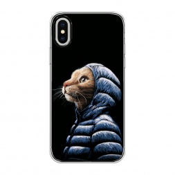 ����������� ����� ��� � �������� �� iPhone XS (10S)