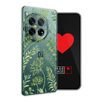 ����������� ����� Green Leaves �� OnePlus 12