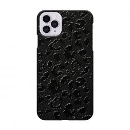 ������� ������ ׸���� ����������� ����� �� iPhone 11 Pro