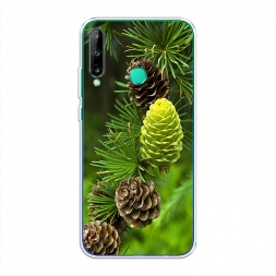 ����������� ����� ��� 13 �� Honor 9C